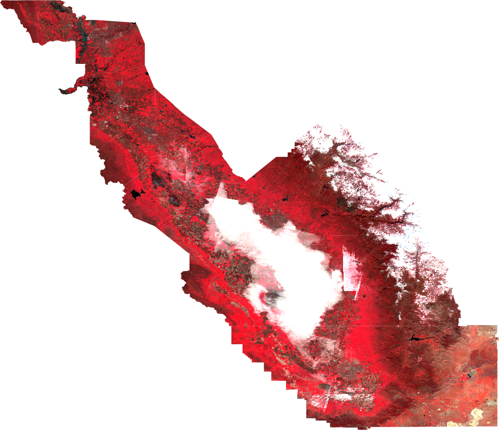 False Color Vegetation
